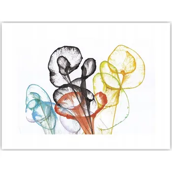 Obraz Obraz plakát do obýváku ložnice 40x30 květiny foto na zeď bez rámu