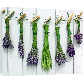 Varná deska Tvrzený kryt indukční varné desky ze skla, levandule, květy levandule