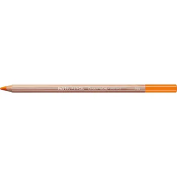Pastelka Pastelky Caran d'Ache 1 ks