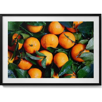 Obraz Dekorativní nástěnný obraz do pokoje Zralé italské pomeranče 100x70 cm