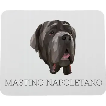 Obraz Neapolská doga - geometrický design