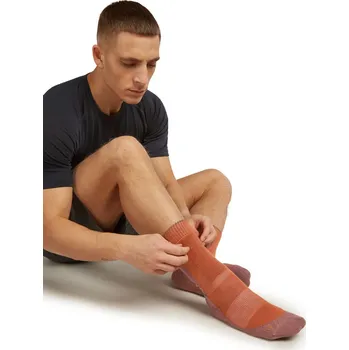 Pánské ponožky Pánské merino turistické ponožky ICEBREAKER Mens Hike+ Medium Crew, Dusty Clay/Carob velikost: 42-44 (M)