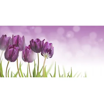 Obraz Kuchyňský panel Fialové tulipány 100x50 cm + LEPIDLO