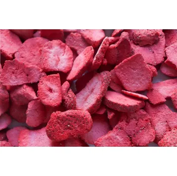 Sušené ovoce Lyofio Jahoda plátky 20 g