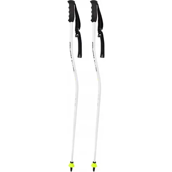 Sjezdová hůlka Juniorské sjezdové lyžařské hole HEAD WORLDCUP SG JR 2023, délka 100 cm