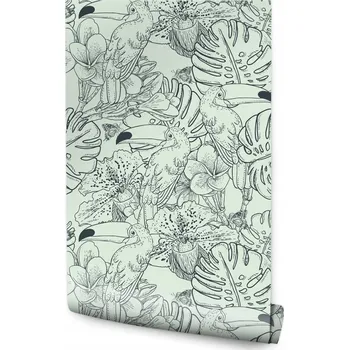 Fototapeta Tapeta do dětského pokoje tukany tropické ptáky