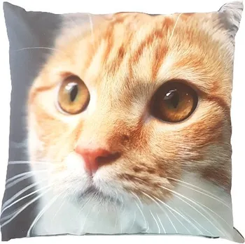 Zahradní dekorace Polštář OUTDOOR Kočka, 40cm, kotě(č.1 - č.4), barevný potisk (DOPRODEJ)|výběr z variant|Esschert Design - produkt č. 2