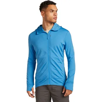 Pánská mikina ICEBREAKER M 260 Quantum IV LS Zip Hoodie, Arctic velikost: M