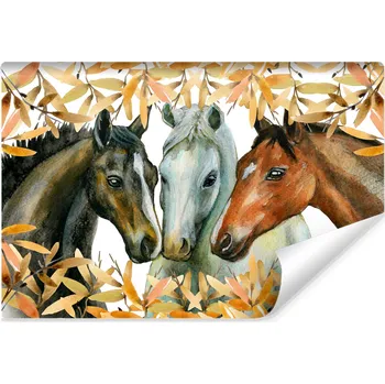 Fototapeta Tapeta samolepicí 315 cm x 210 cm