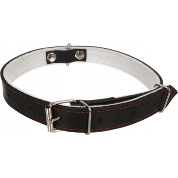 Obojek pro psa Kožený obojek pro psa Najder vel. XL