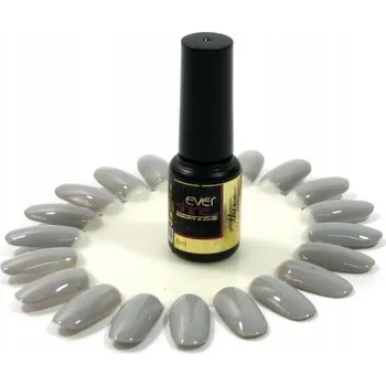 Lak na nehty Hybridní lak na nehty 6ml ŠEDÝ POPELAVÝ STŘÍBRNÝ