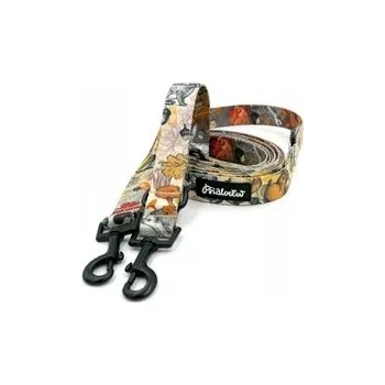 Vodítko pro psa Vodítko pro psa Forest Treasures 220 cm