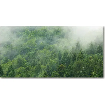 Obraz Kuchyňský panel Tajemný les 100x50 cm + LEPIDLO