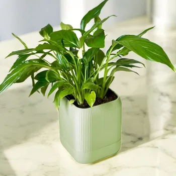 Květináč Plantbee Samozavlažovací květináč Edgar písková