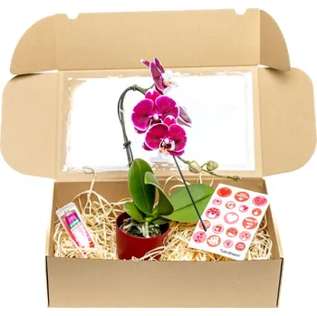 Gardners Dárková sada z lásky Phalaenopsis s květináčem a výživou