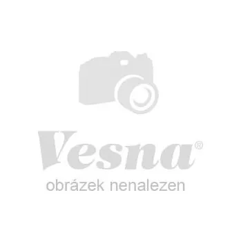 Dekorativní polštářek Vesna Polštářek Pejsek oranžový 30x30 cm