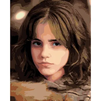 Zuty Malování podle čísel Portrét Hermiony s přísným pohledem (Harry Potter)