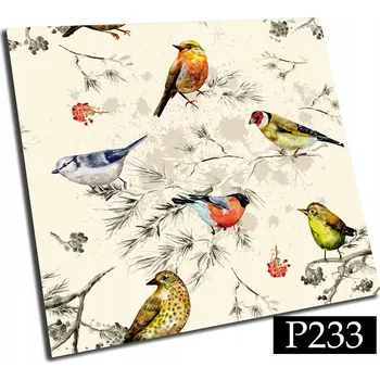 vinylová podlaha Samolepicí PVC dlaždice 15 cm Ptáci jako malovaní PVC OBKLADY