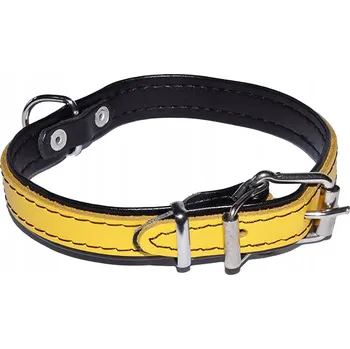 Obojek pro psa Kožený obojek pro psa Dino, univerzální velikost