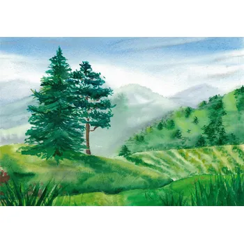 Fototapeta Fototapeta PRO DĚTI 3D Les Hory Akvarel 368x254