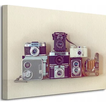 Obraz Camera Collection – Obraz na plátně 50x40