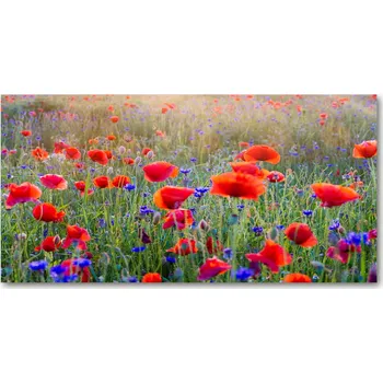 Obraz Ochranný panel Polní květy 140x70 cm + LEPIDLO