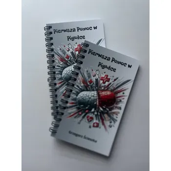 Lékárnička Kapesní lékárnička první pomoci