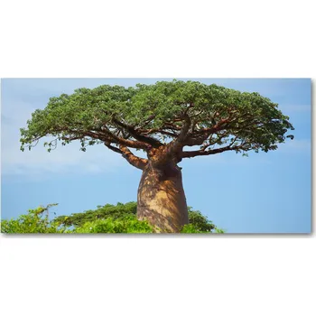 Obraz Skleněný panel do kuchyně Baobab 140x70 cm + LEPIDLO