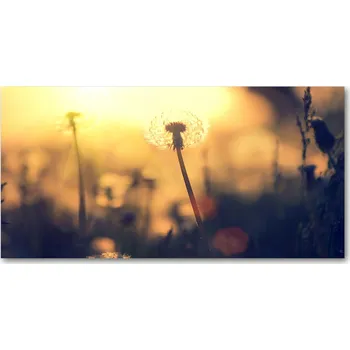 Obraz Ochranný panel Pampeliška 140 x 70 cm + LEPIDLO