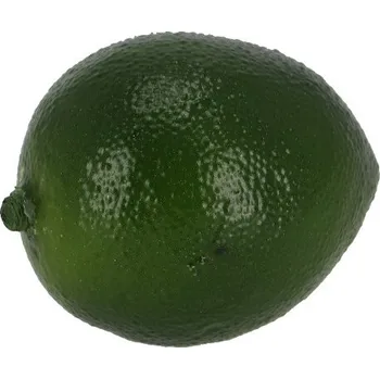 Zahradní dekorace Dekorace Limetka, 7 x 5,5 x 5,5 cm|Esschert Design