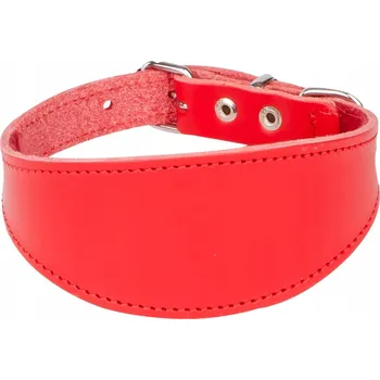 Obojek pro psa Kožený obojek pro psa Charta DINGO Classic L - 41 cm červený