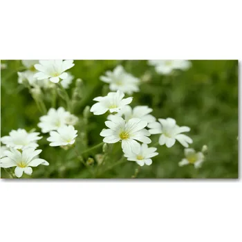 Obraz Kuchyňský panel Jarní květy 140x70 cm + LEPIDLO