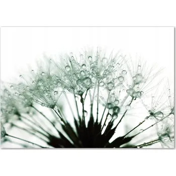 Obraz Skleněný panel 70 x 100 x 4 mm tvrzené sklo broušené bílý