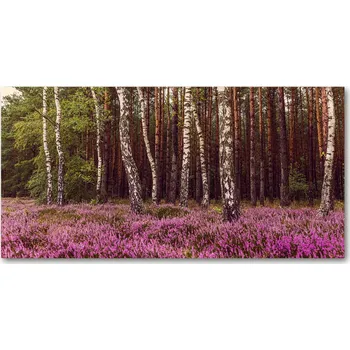 Obraz Ochranný panel Vřesoviště 120x60 cm + LEPIDLO