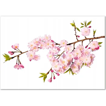 Obraz Skleněný panel 70 x 100 x 4 mm tvrzené sklo broušené růžový