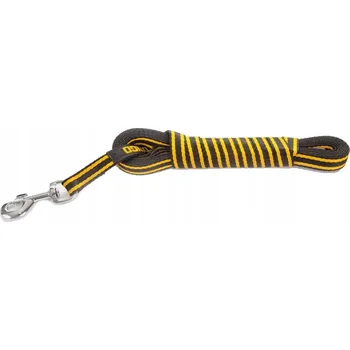 Vodítko pro psa Vodítko treningové vodítko Dingo Gear lanko 5 m