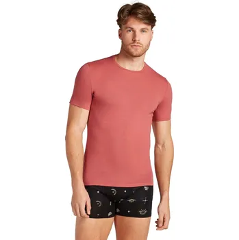 Pánské tričko Pánské merino tričko s krátkým rukávem ICEBREAKER Mens Anatomica SS Crewe, Plume velikost: XL