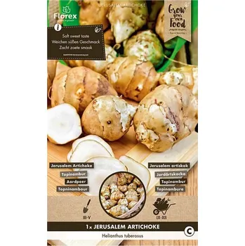 Cibulovina Florex Topinambur Jerusalem Artichoke Helianthus Tuberosus 1 ks