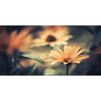 Obraz Panel do kuchyně Jarní květ 100x50 cm + LEPIDLO