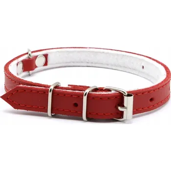 Obojek pro psa Kožený obojek pro psa AQQ vel. S/M