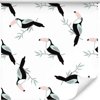 Tapeta Tapeta - Tukany /272450006