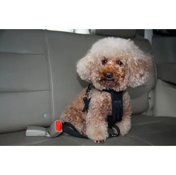Postroj pro psa Bezpečnostní postroj do auta pro psa S Max 12 kg