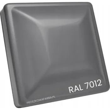 barva na zeď PRÁŠKOVÁ BARVA RAL 7005 Polyesterová myší šedá matná 1 kg