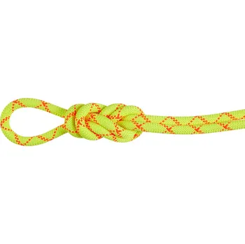 Lano Mammut Mammut 9.5 Alpine Core Protect Dry Rope 30m Barva: Žlutá, Velikost: 30 m