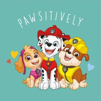 Carbotex Magický ručníček Tlapková Patrola Tři Mušketýři 30 x 30 cm