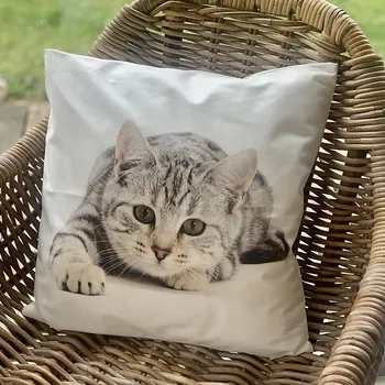 Dekorativní polštářek BYTEMA Dekorační povlak na polštář KOČKA LEŽÍCÍ 40 x 40 cm