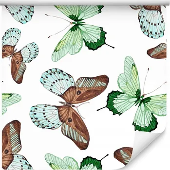 Tapeta Tapeta na zeď do kuchyně, motýli, příroda