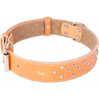 Obojek pro psa Kožený obojek pro psa Dingo vel. XL/XXL