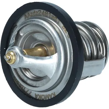Motor automobilu Termostat, chladivo KAMOKA 7710061