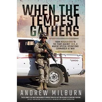 When the Tempest Gathers - Milburn, Andrew